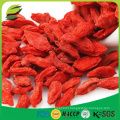 Chinese ningxia dried wolfberries